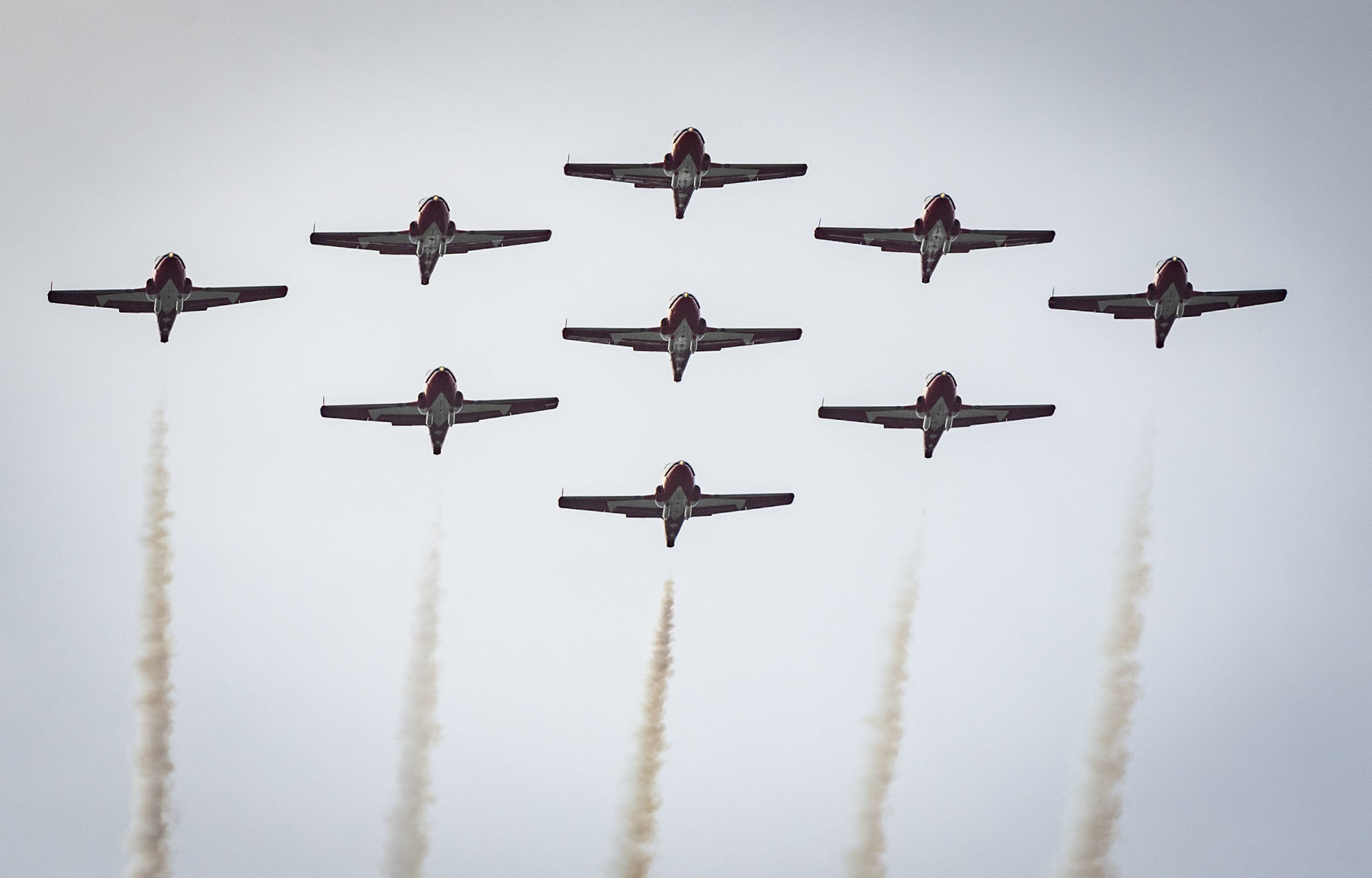 Snowbirds